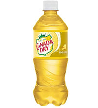 Load image into Gallery viewer, Canada Dry (Canada) - Goodiesheady
