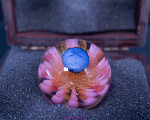 Richard Hollingshead "Pink Passion" Marble - Goodiesheady