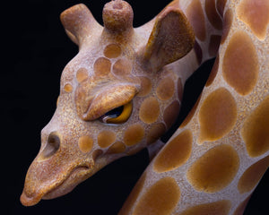 Robertson Glass 2014 Giraffe - Goodiesheady
